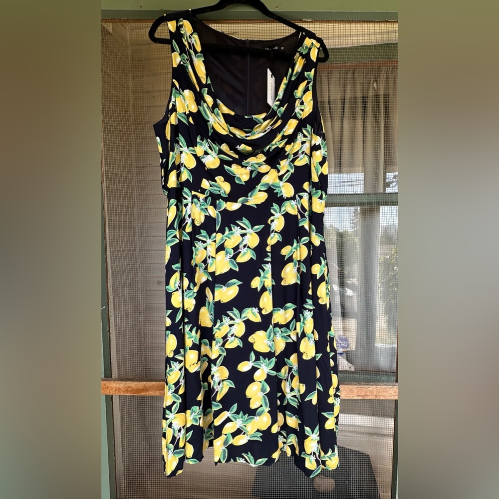 🍋Lemon Print Sleeveless Dress 2X🍋